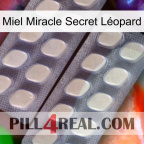 Miel Miracle Secret Léopard 07